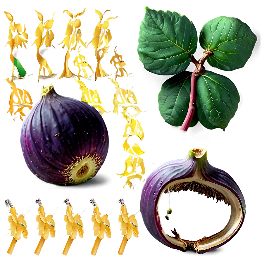 Whole Fig Clipart PNG 18 PNG image with a transparent background, free high-resolution download