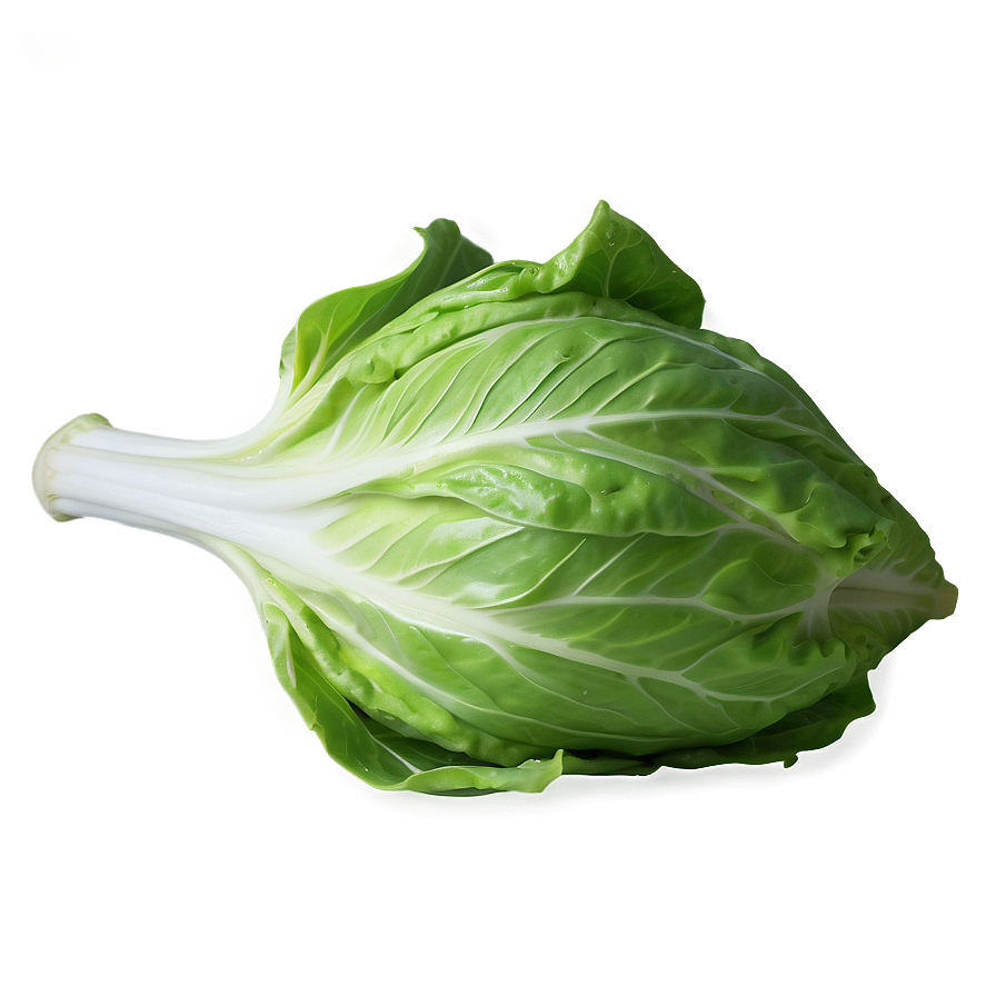 Whole Lettuce Head Png 05242024