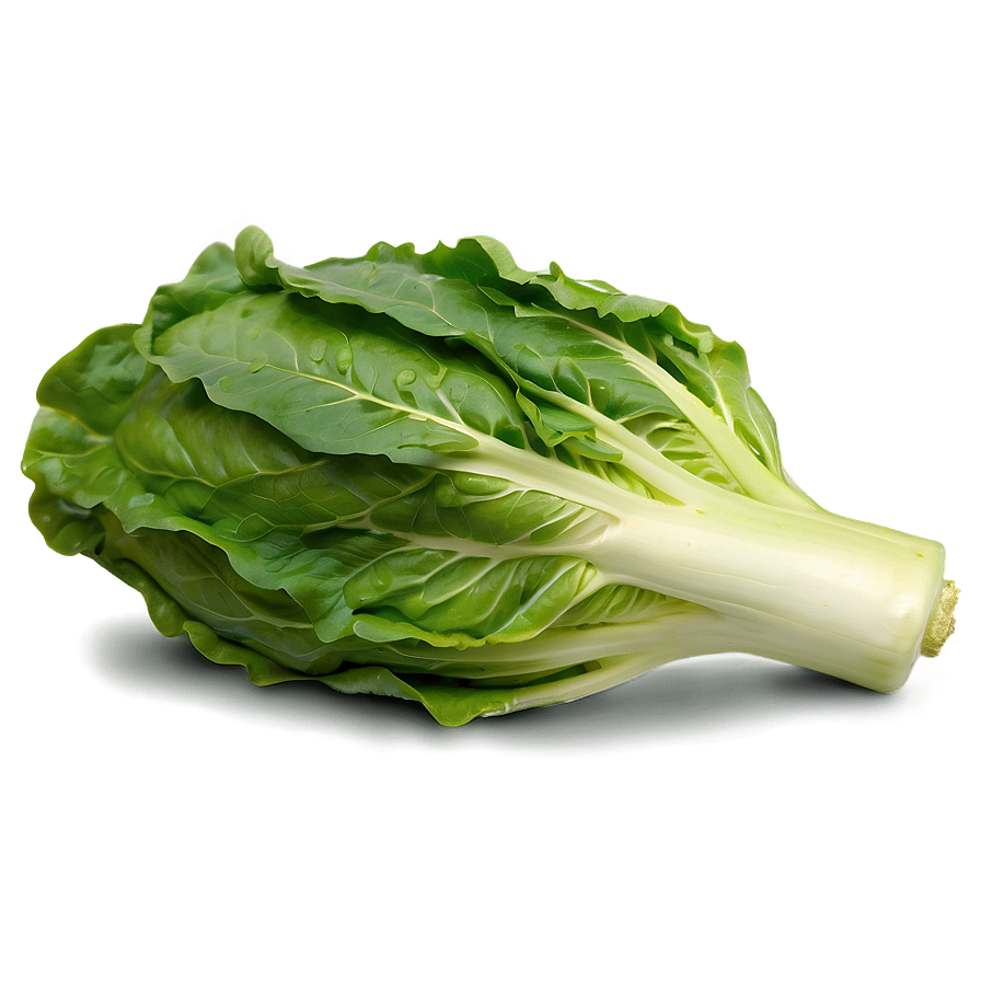 Whole Lettuce Head Png 77