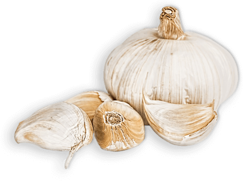 Garlic, HD Png Download PNG with transparent background