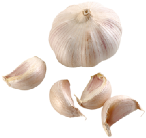 Transparent Garlic Png - Garlic Png Transparent, Png Download PNG with transparent background