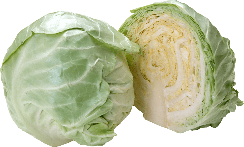 Wholeand Half Cabbage Display