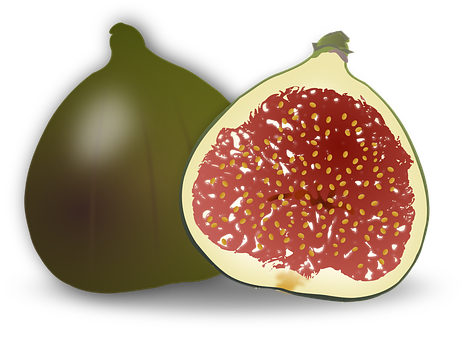 Wholeand Half Fig Illustration PNG image with a transparent background, free high-resolution download