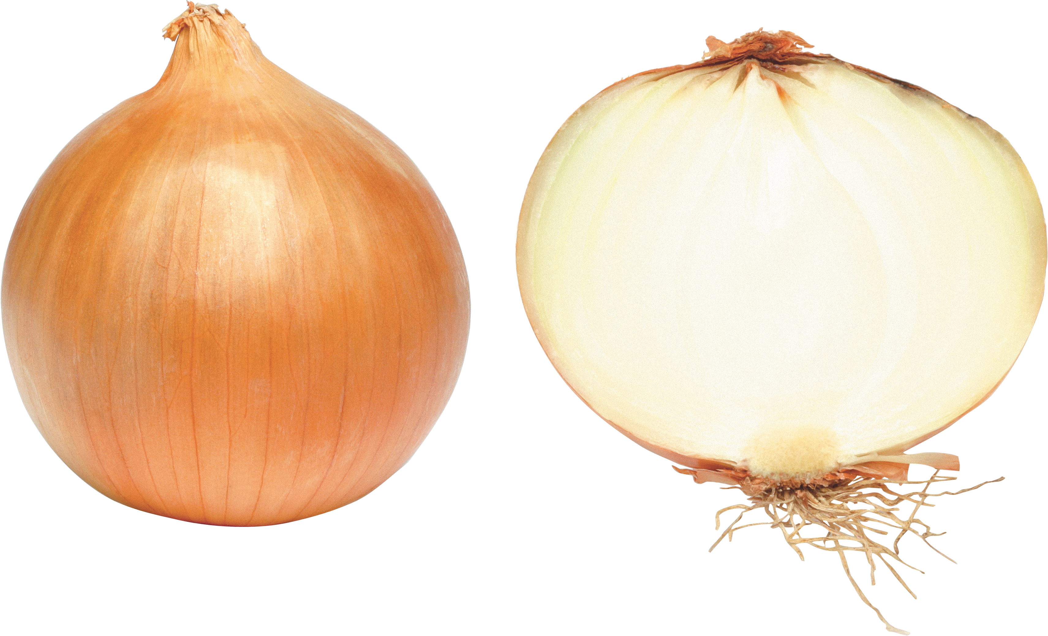 Wholeand Half Onion