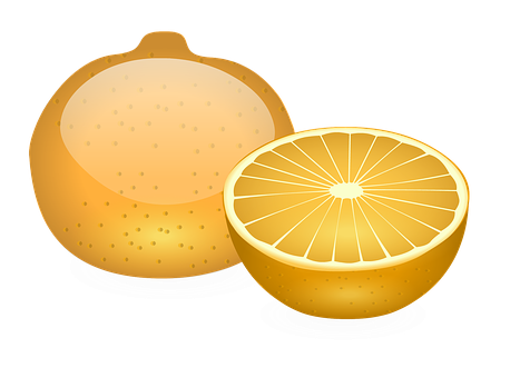 Wholeand Half Orange Illustration PNG with transparent background
