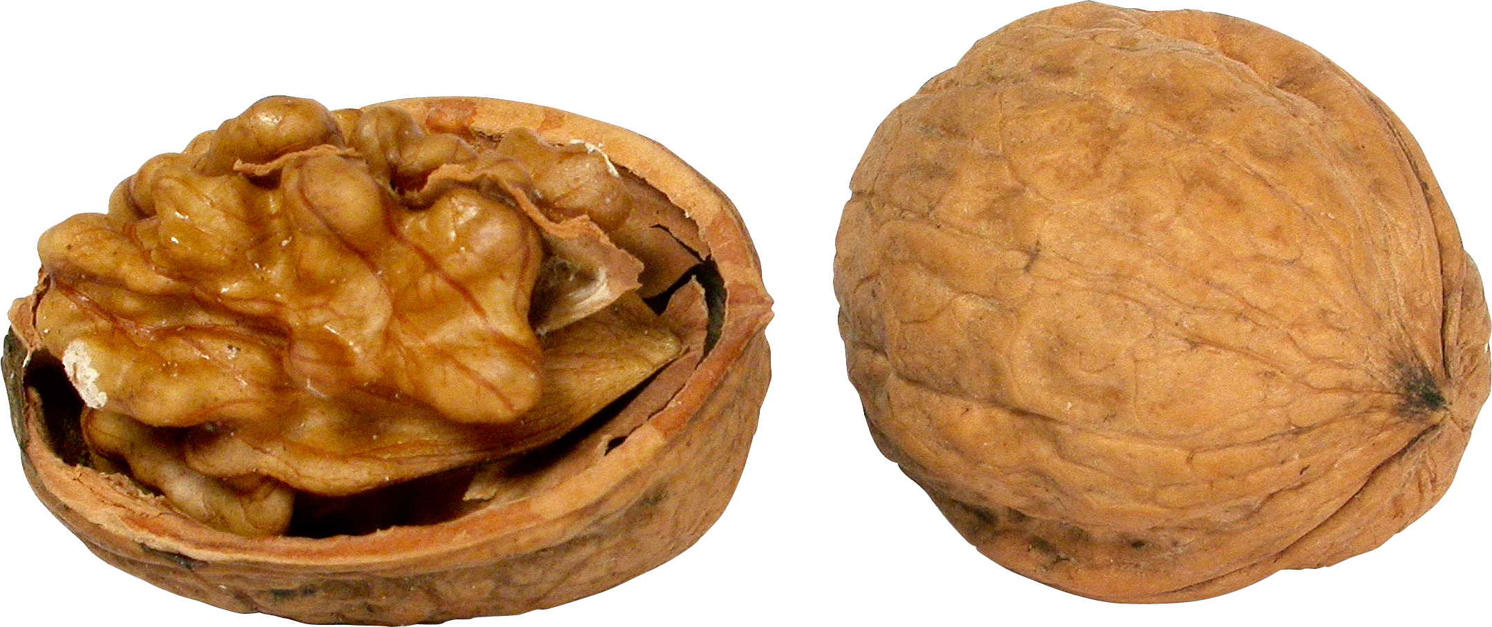 Walnut, HD Png Download PNG with transparent background