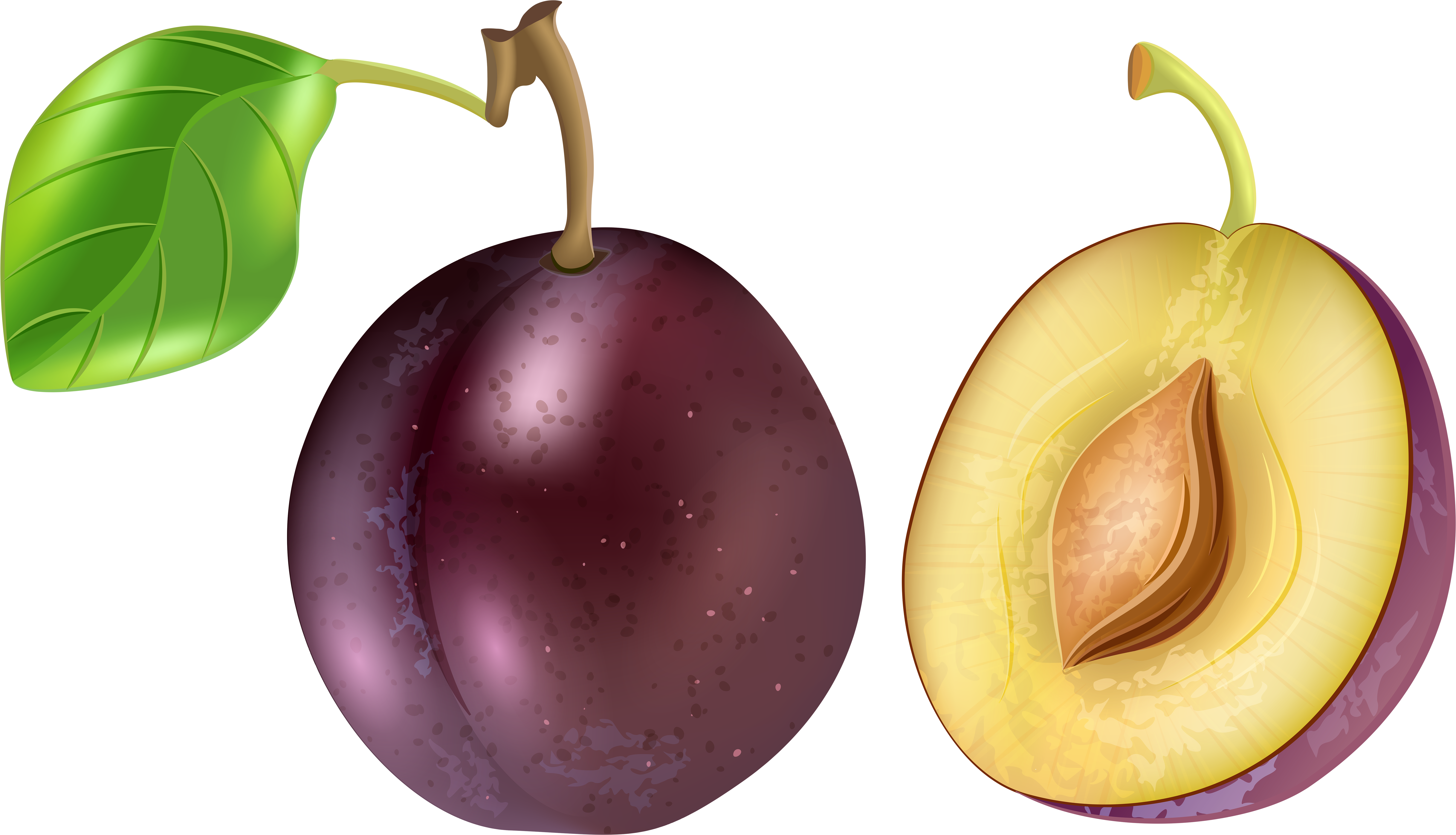 Wholeand Halved Plum Illustration