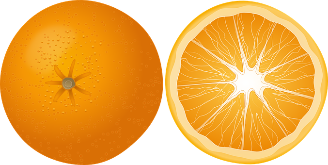 Wholeand Sliced Orange Illustration