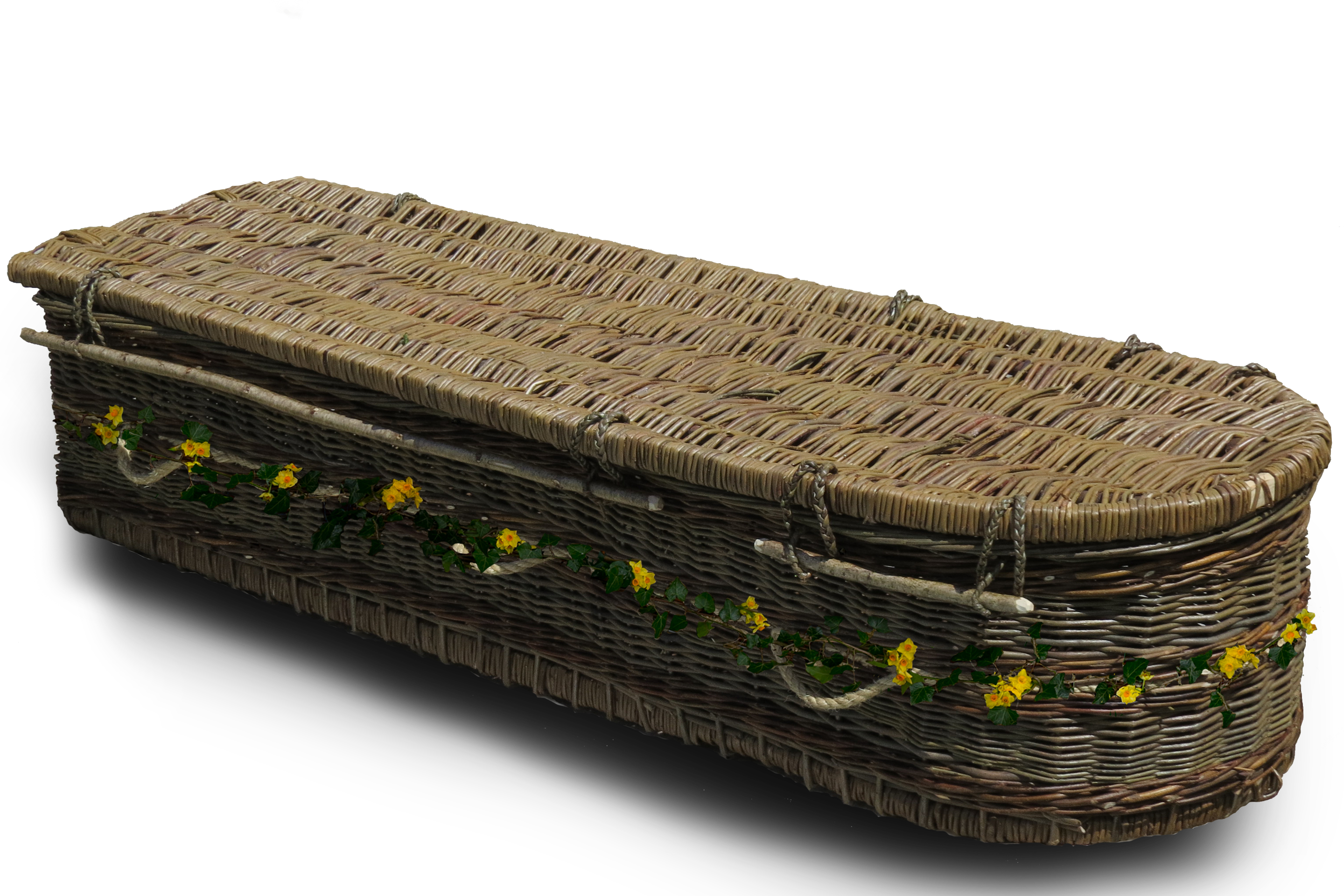 English Green Willow Coffin - Coffin PNG with transparent background