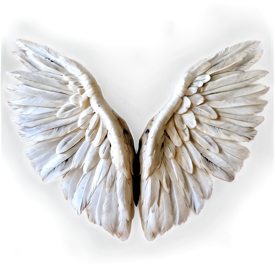 Wide White Wings Png 06262024