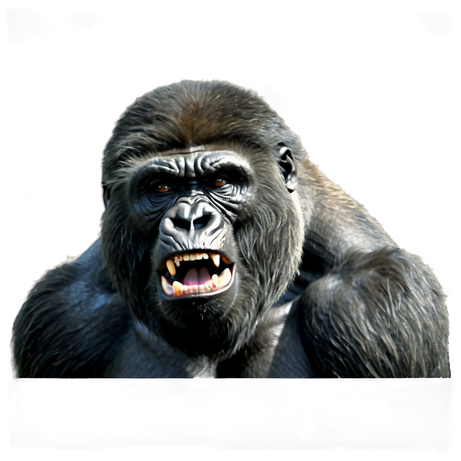 Wild Angry Gorilla Png Glb42