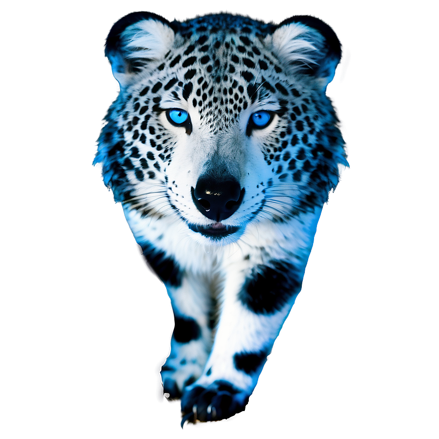 Wild Animal Blue Eyes Png 8