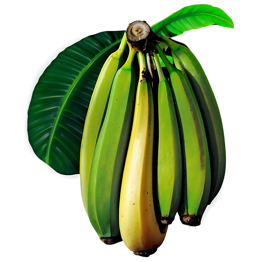 Wild Banana Jungle Png Tbw61