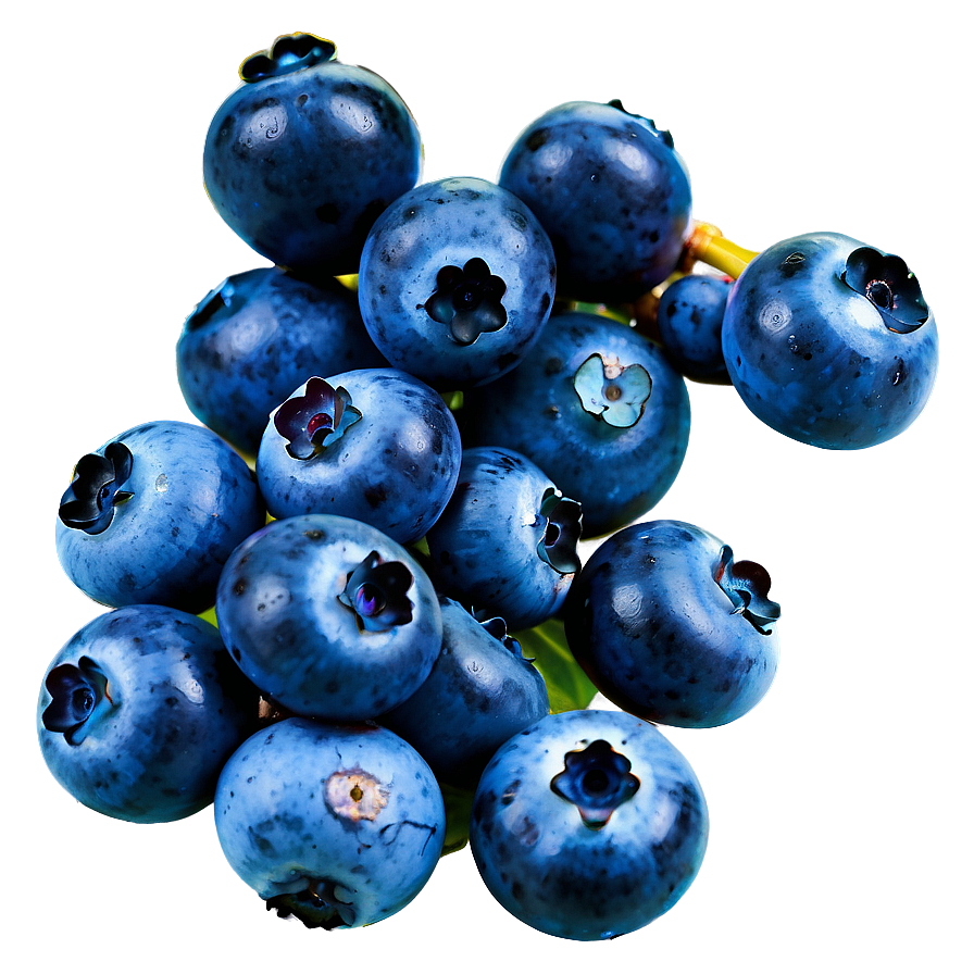 Wild Blueberry Bunch Png 05212024