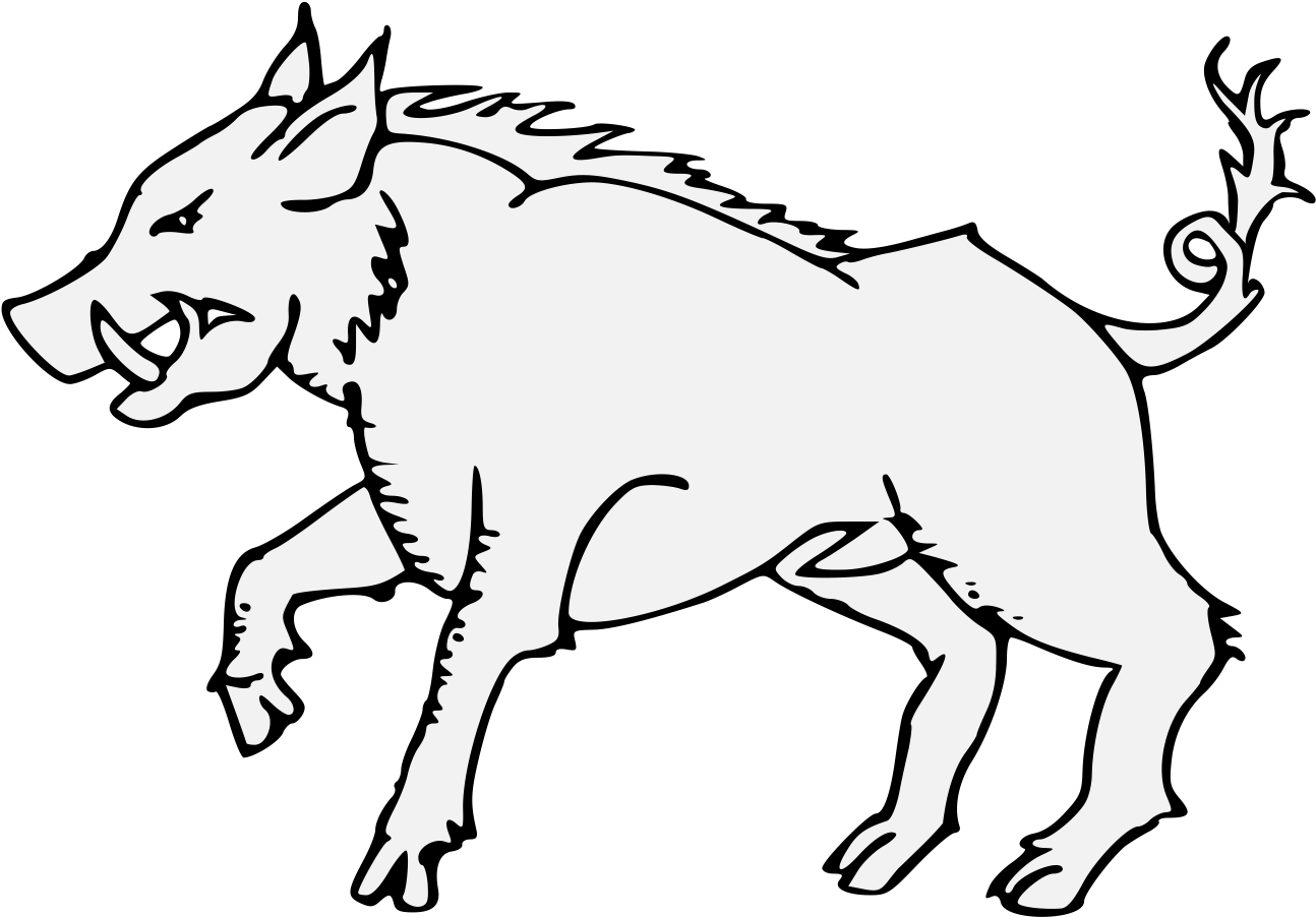 Wild Boar Illustration.png