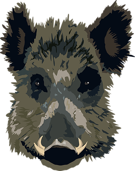 Wild_ Boar_ Vector_ Portrait PNG with transparent background