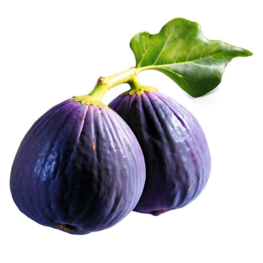 Wild Fig Picture Png Eng