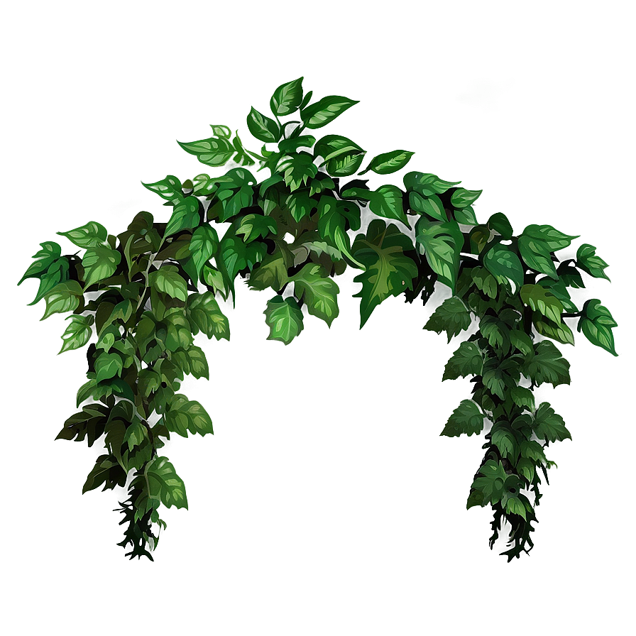 Wild Forest Vine Png 05042024