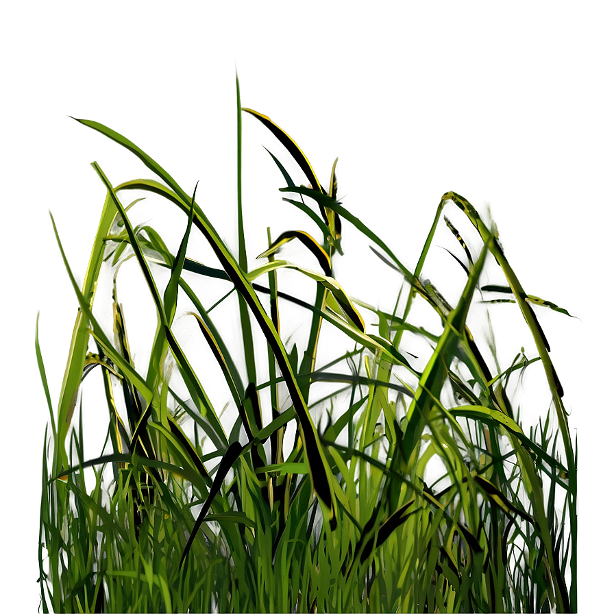 Wild Grass Clipart Png Mrk