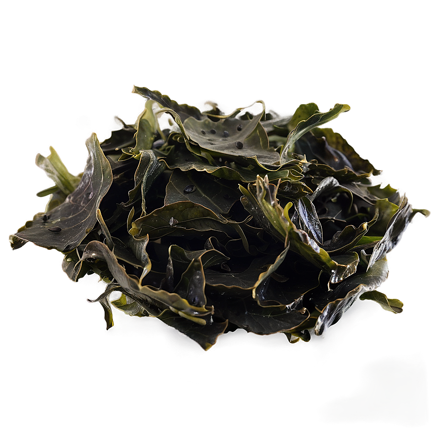 Wild Harvested Seaweed Png Jck19