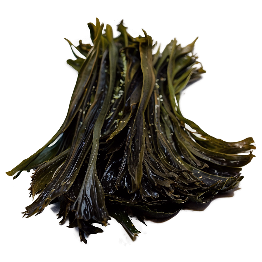 Wild Harvested Seaweed Png Knu58