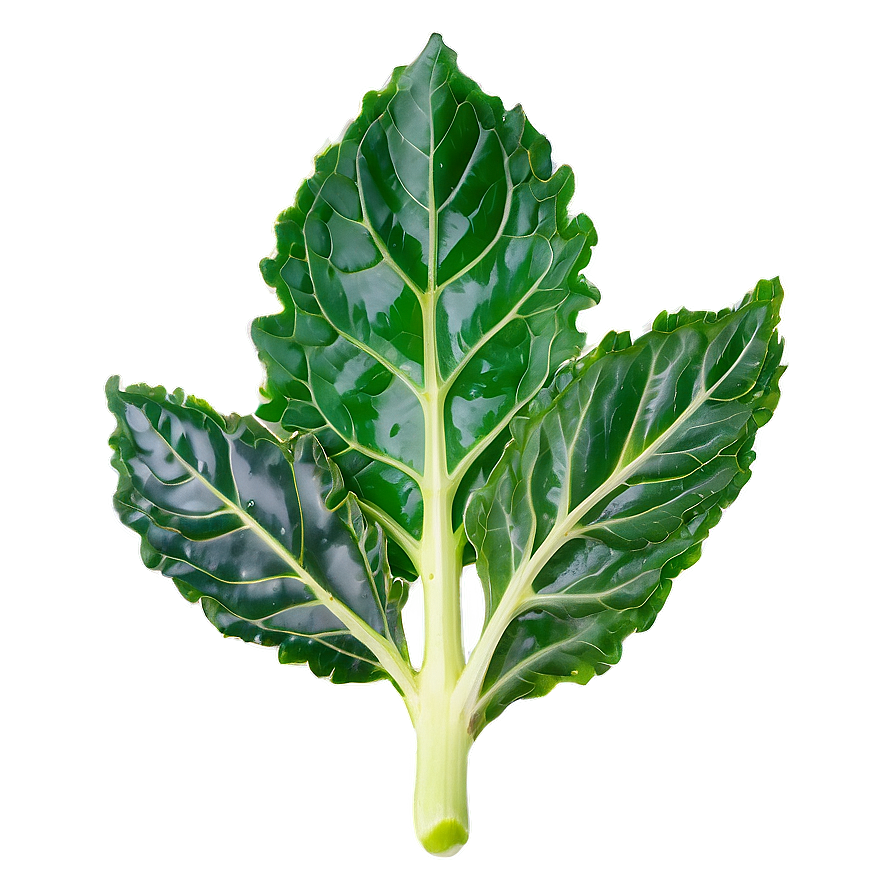 Wild Kale Png Vfx