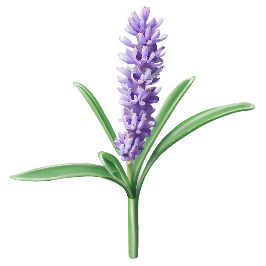 Wild Lavender Plant Png Gks