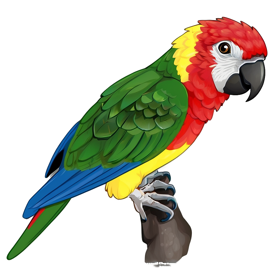 Wild Parrot Png 54