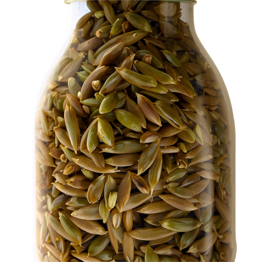 Wild Rice Png 05242024