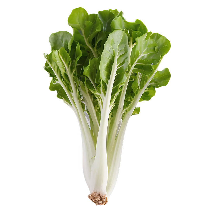 Wild Rocket Lettuce Png Era