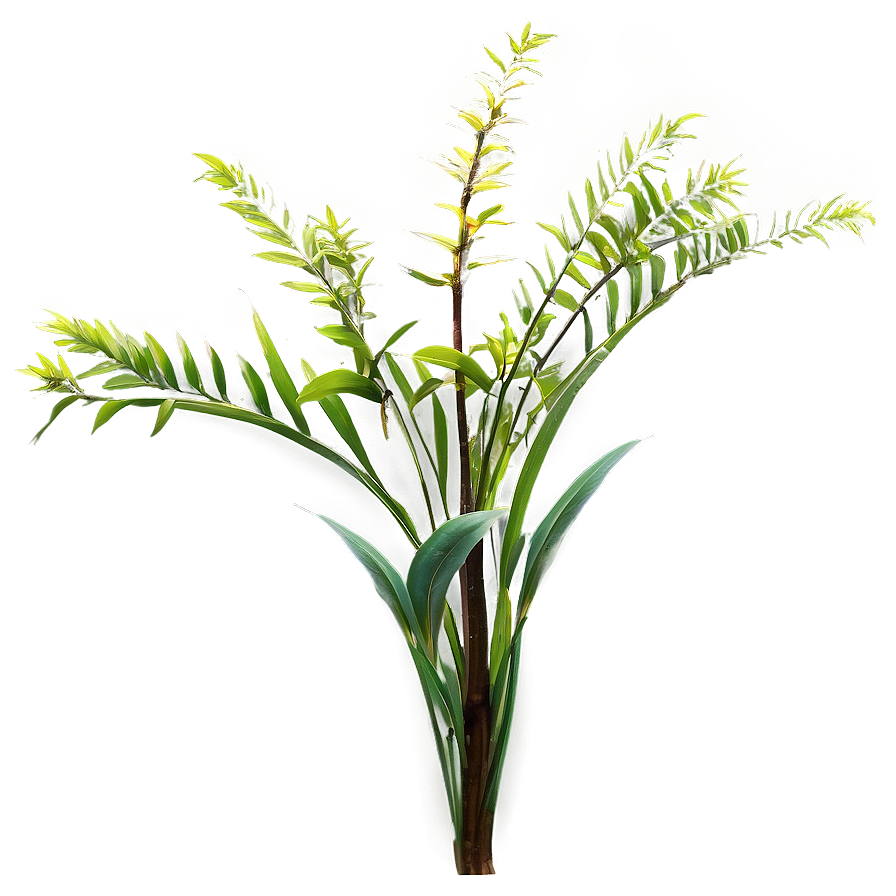 Wild Tall Plant Png 06282024