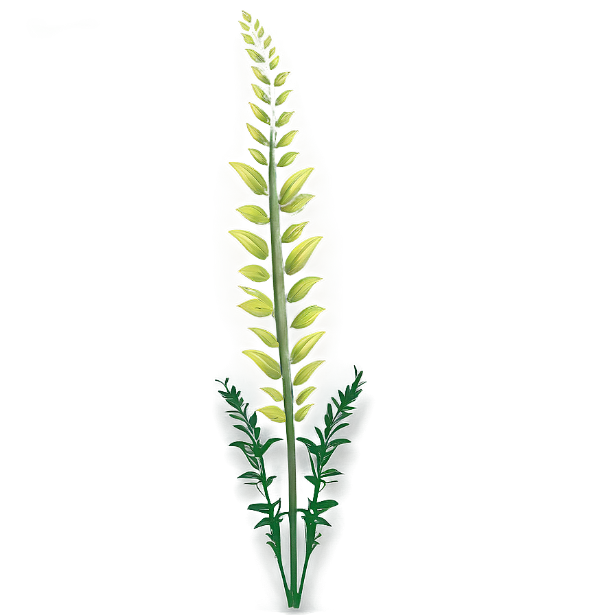 Wild Tall Plant Png 06282024