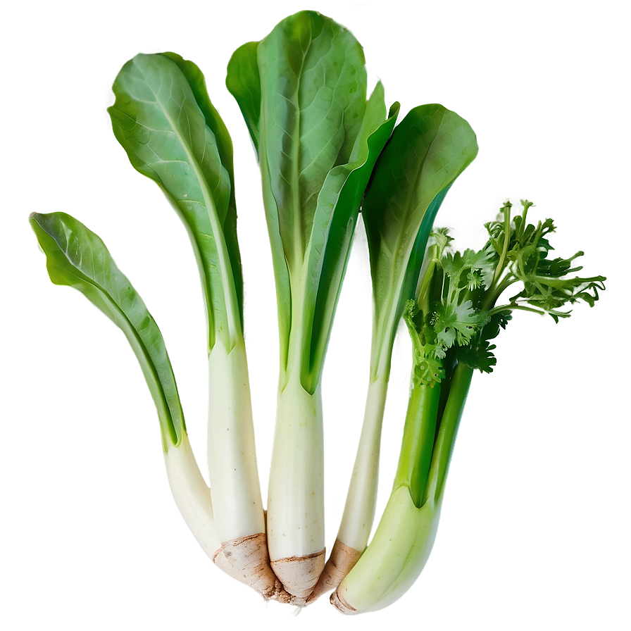 Wild Vegetables Png 32