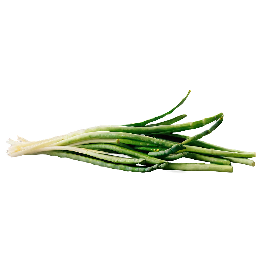 Wild Vegetables Png 53