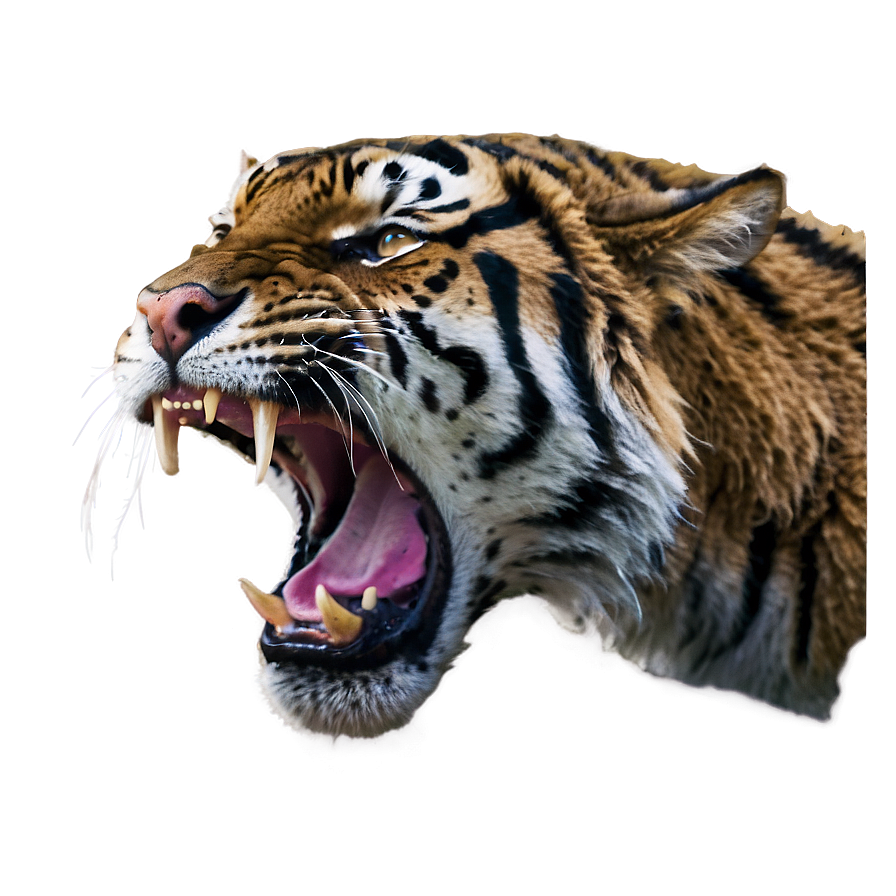 Wildcat Rage Tiger Png Dgb99