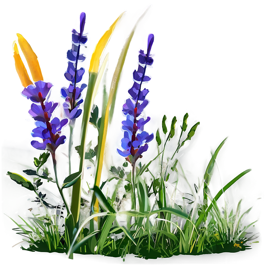 Wildflower And Grass Png 04292024