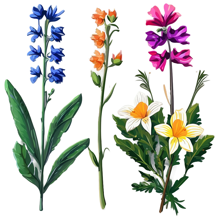 Wildflower Bouquet Png 45