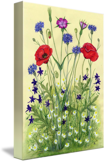 Wildflower Meadow Artwork PNG with transparent background