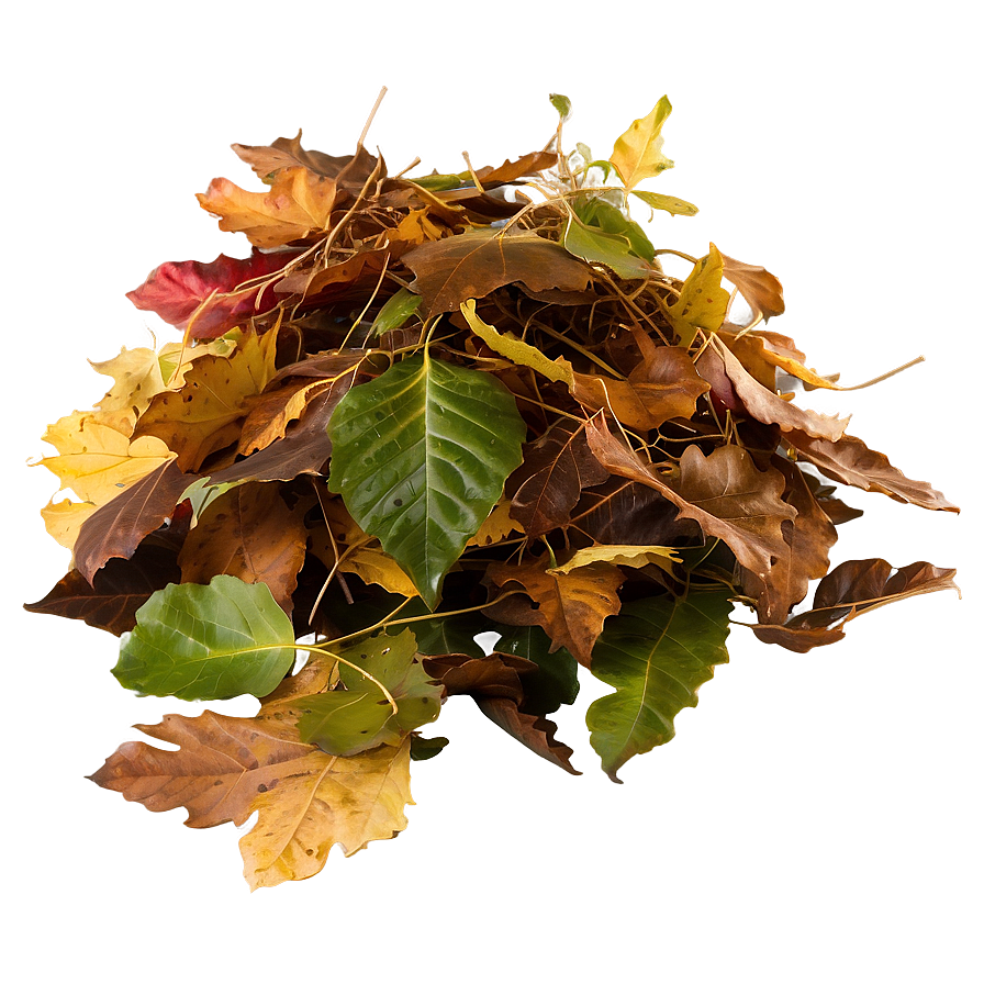 Windblown Leaves Heap Png Xju