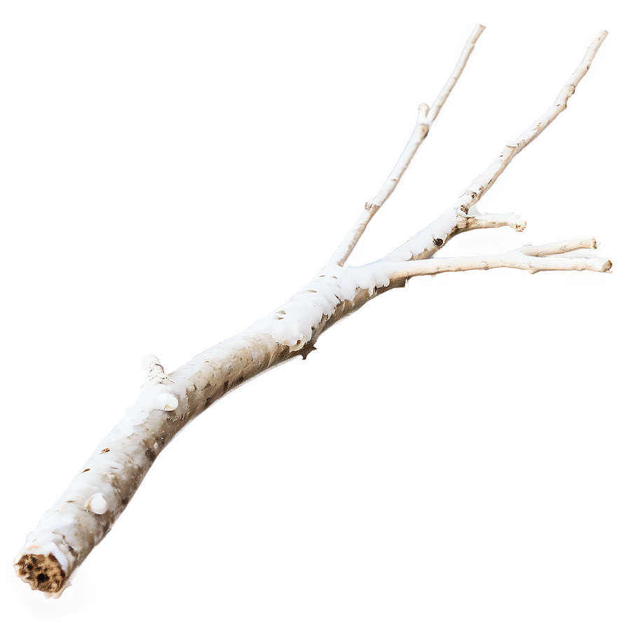 Windblown Twig Png 25