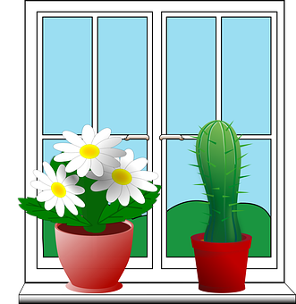 Window Plants Illustration PNG with transparent background