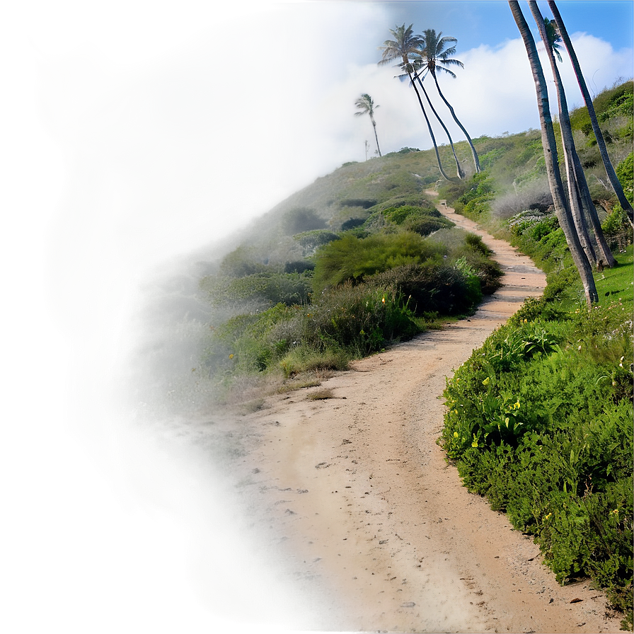 Windy Coastal Trail Png Lxw76