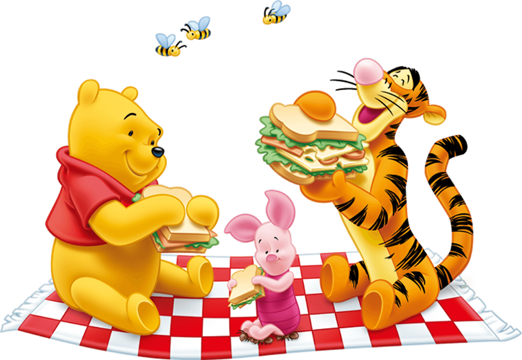 Winnie Pooh Friends Picnic