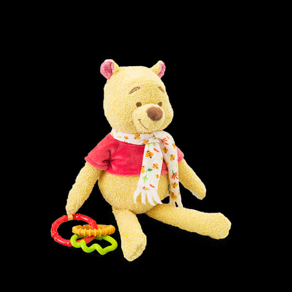 Winnie The Pooh Plush Toywith Honey Pot Rattle PNG with transparent background