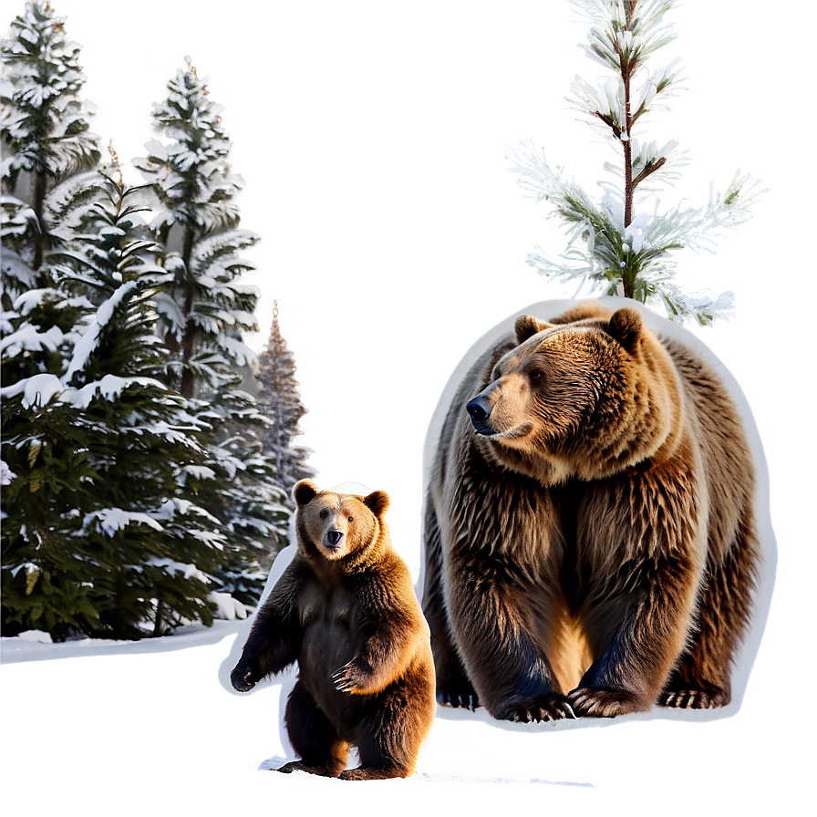 Winter Bear Png Qcu