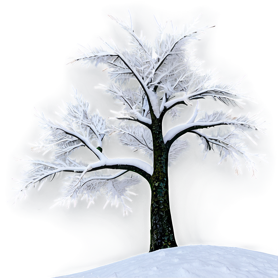 Winter Blizzard Scene PNG 06242024 PNG with transparent background