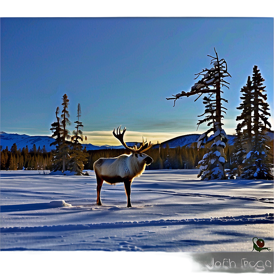 Winter Caribou Landscape Png 40