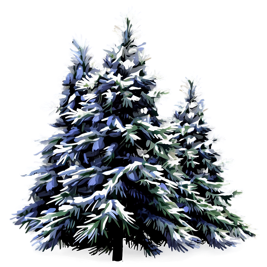 Winter Evergreen Tree Png Hou