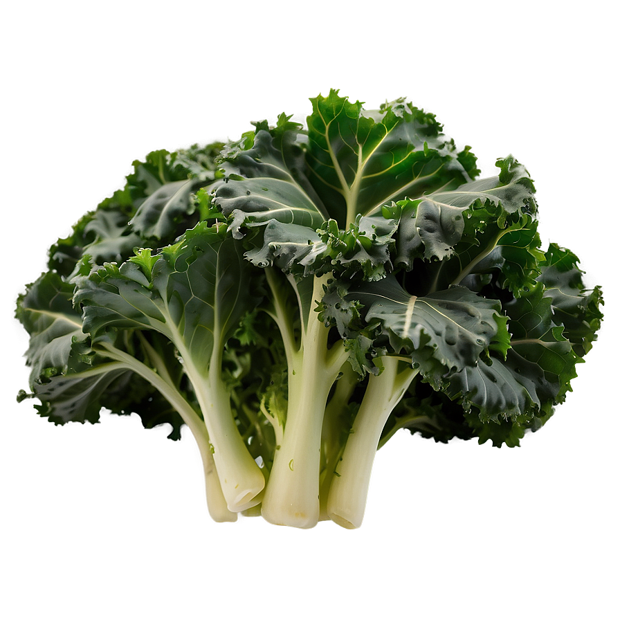 Winter Kale Png Ycr