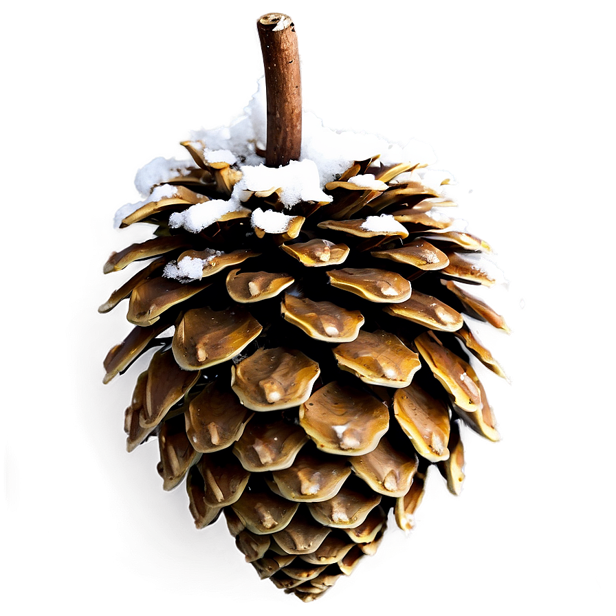Winter Pine Cone PNG ygu12 PNG image with a transparent background, free high-resolution download